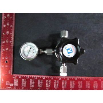 TEISAN ERSB-9019-WQ Regulator High Purity 316